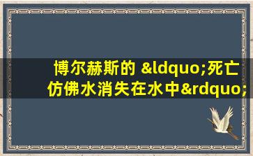 博尔赫斯的 “死亡仿佛水消失在水中”